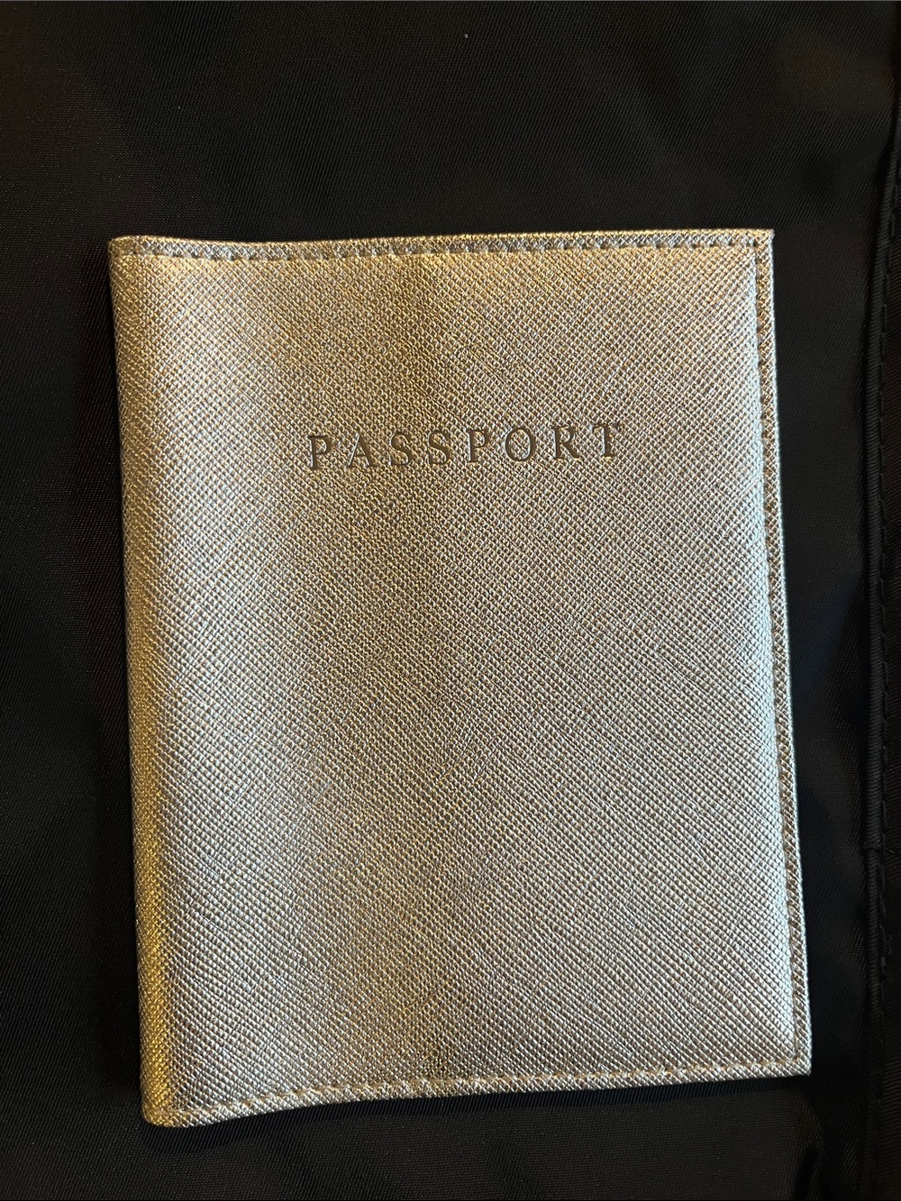 Talbots Metallic Silver Passport Cover